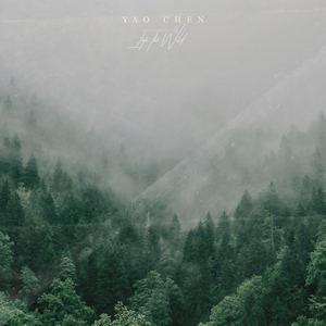 熟妇与小男娃做爰
